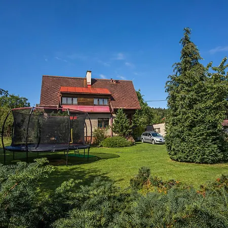 131 Ceska Cermna